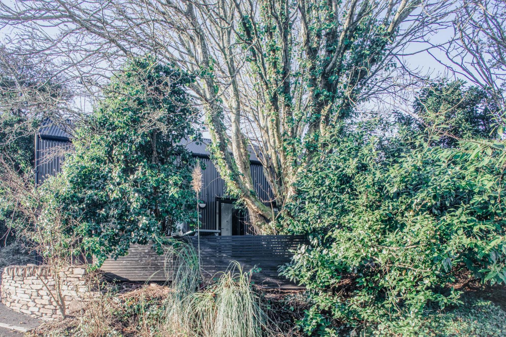Lowen Tree House Truro Exterior foto